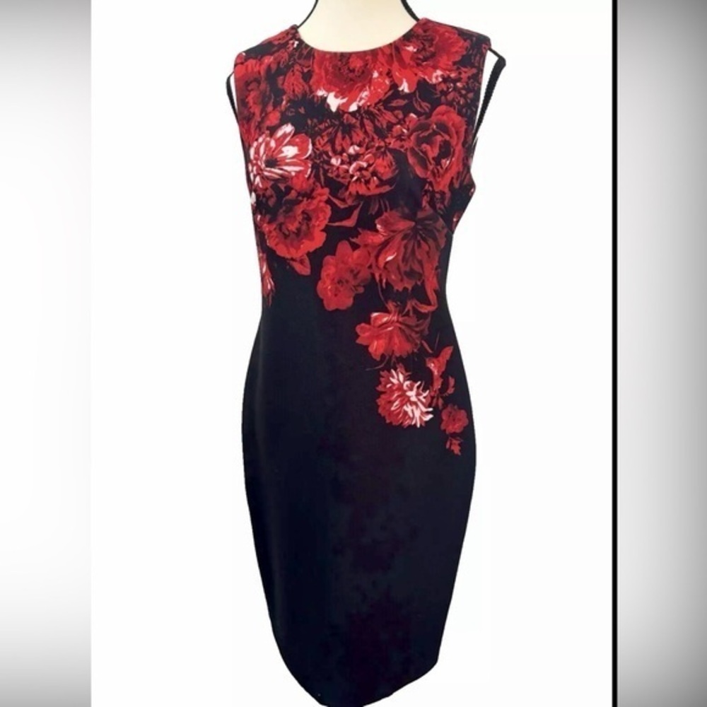 Calvin Klein Women's Dress Black With Red Flowers Size 4 Sleeveless Roun…